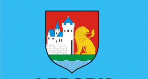 Czy wiecie że Lębork ma własną chorągiew? Jej opis można znaleźć w Statucie Miasta. Podobnie jak her