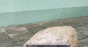 Kto kończył Szkołę Podstawową nr 8? Ma ona już 5⃣0⃣ lat