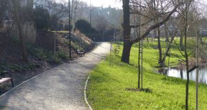 Mamy wreszcie w Lęborku łabędzia  Na razie jeden, młody osobnik pojawił się na stawie "Morskie 