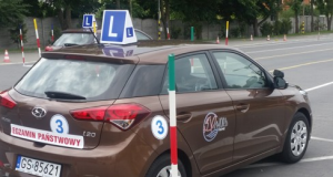 Wojewódzki Ośrodek Ruchu Drogowego (WORD) Słupsk opublikował niedawno statystykę  zdawalności egzami