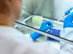Pomorze na szarym końcu, jeśli chodzi o testowanie osób w kierunku zakażenia koronawirusem