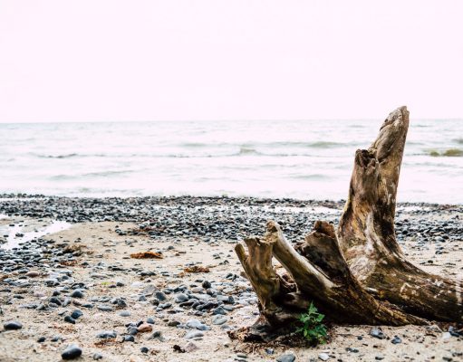 Apel pomorskiego marszałka w sprawie zatopionej w Bałtyku broni chemicznej Zdjęcie autorstwa Markus Spiske z Pexels