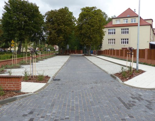 Duża odmiana przed Szkołą Podstawową nr 1 przy Wojska Polskiego