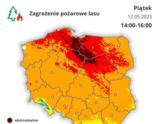 Uwaga na wysokie zagrożenie pożarami lasów na Pomorzu