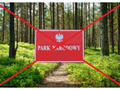 Sprzeciw wobec utworzenia Kaszubskiego Parku Narodowego narasta – do protestów dołączają samorządowcy