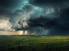 Lębork przygotowuje się na zmiany klimatu: Powstanie Miejski Plan Adaptacji
