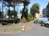 Lipy na Placu Piastowskim przejdą szczegółowe badania stabilności Liny, czujniki i symulowany wiatr. Sprawdzają lipy na Placu Piastowskim