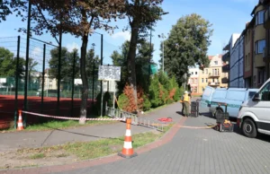 Liny, czujniki i symulowany wiatr. Sprawdzają lipy na Placu Piastowskim
