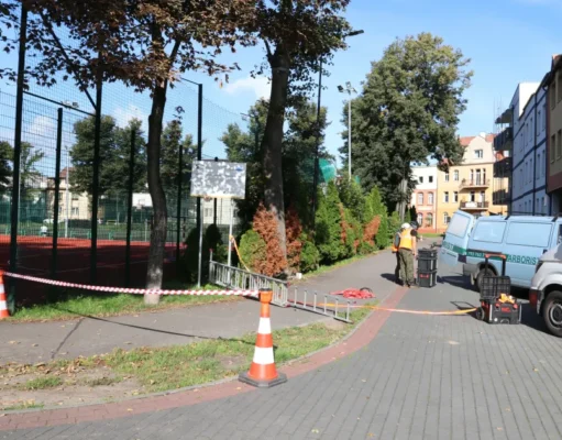Liny, czujniki i symulowany wiatr. Sprawdzają lipy na Placu Piastowskim