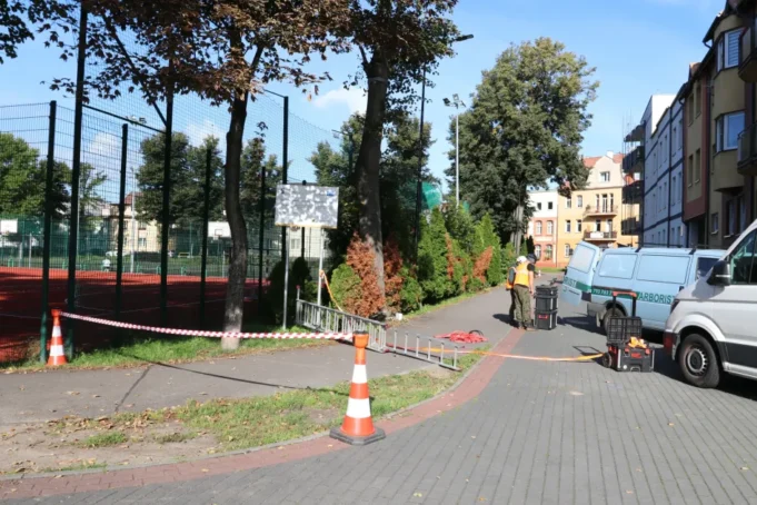 Liny, czujniki i symulowany wiatr. Sprawdzają lipy na Placu Piastowskim.jpg Liny, czujniki i symulowany wiatr. Sprawdzają lipy na Placu Piastowskim
