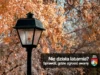Nie działa latarnia? Zgłoś awarię oświetlenia ulicznego Nie działa latarnia? Sprawdź, gdzie zgłosić awarię