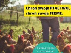 Zalecenia dla hodowców drobiu w powiecie w związku z ryzykiem ptasiej grypy Zalecenia dla hodowców drobiu w powiecie w związku z ryzykiem ptasiej grypy