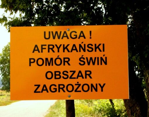Część powiatu lęborskiego objęta obszarem zagrożonym afrykańskim pomorem świń