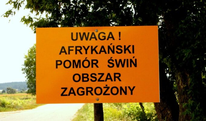 część powiatu lęborskiego objęta obszarem zagrożonym afrykańskim pomorem świń