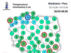 Lębork najzimniejszym miejscem w Polsce. Temperatura przy gruncie spadła do -4 stopni