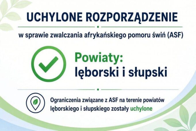 Zniesiono restrykcje związane z ASF w powiatach lęborskim i słupskim